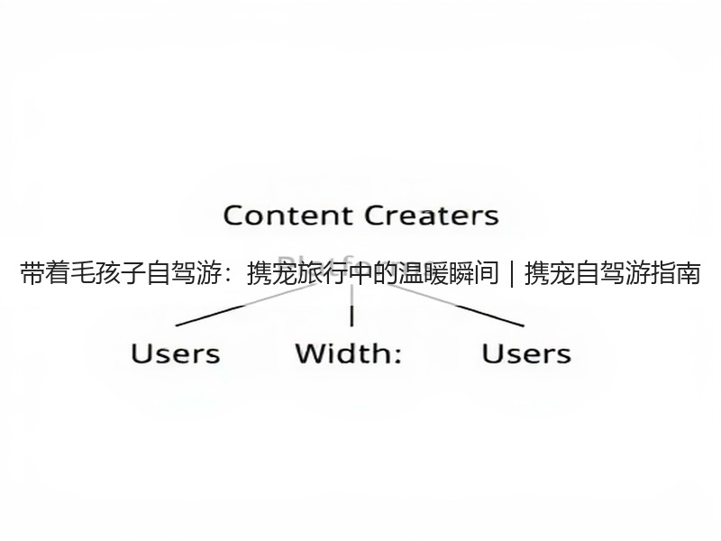 带着毛孩子自驾游：携宠旅行中的温暖瞬间｜