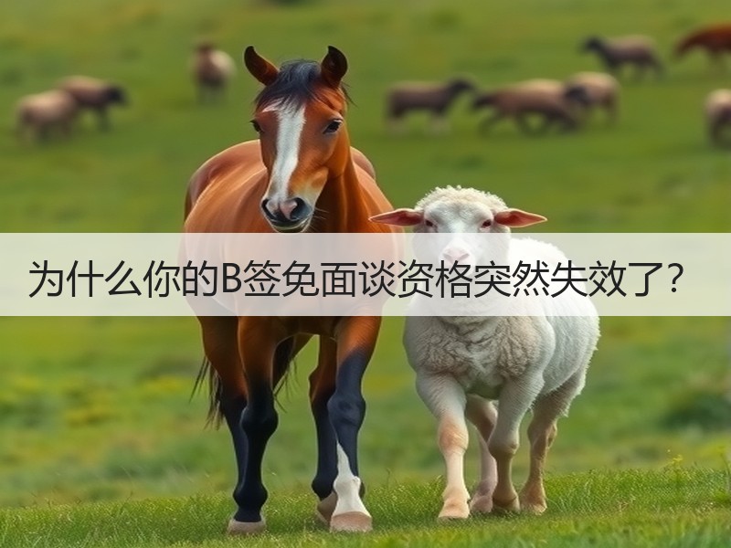 为什么你的B签免面谈资格突然失效了？