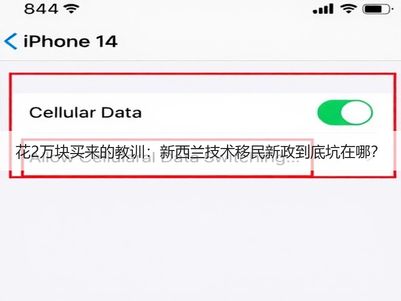花2万块买来的教训：新西兰技术移民新政到