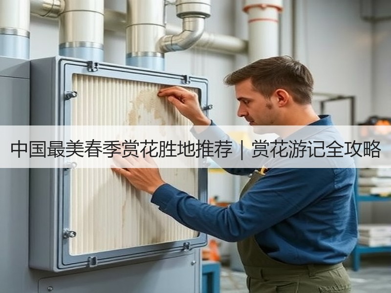 中国最美春季赏花胜地推荐｜赏花游记全攻略