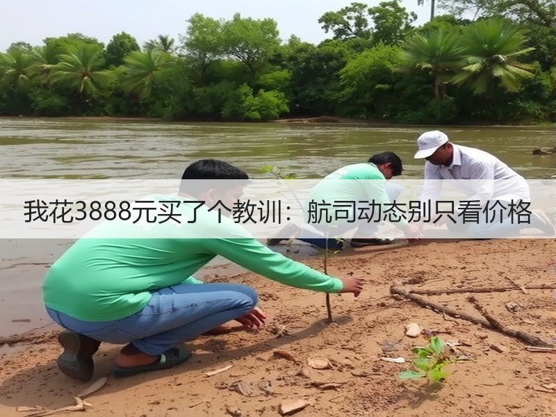 我花3888元买了个教训：航司动态别只看