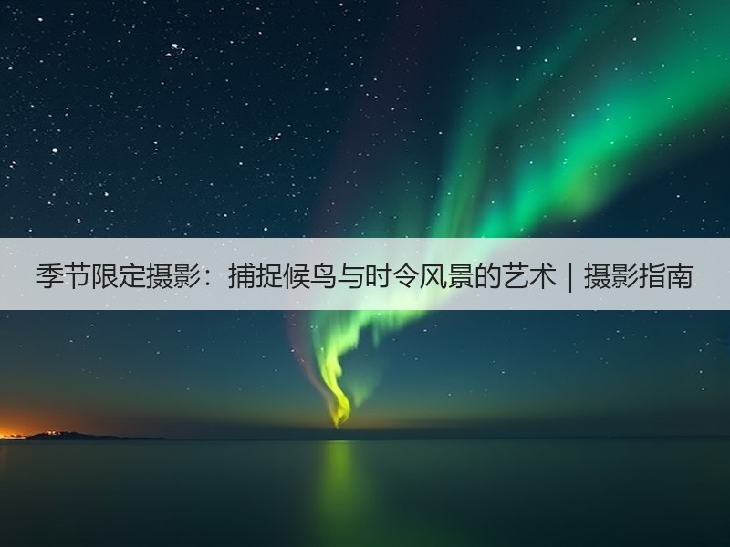 季节限定摄影：捕捉候鸟与时令风景的艺术｜